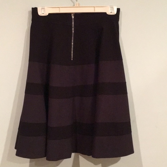 Amanda and Chelsea | Flair A Line Stripe Skirt - Picture 3 of 5